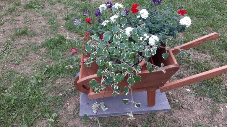 Bassano Up Apartment Mussolente Екстериор снимка